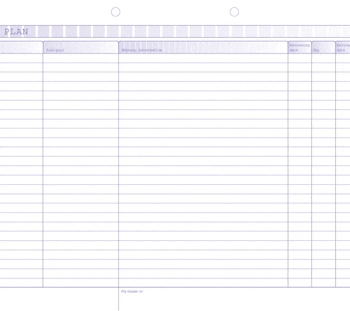 Kalamazoo Care Plan Record Form