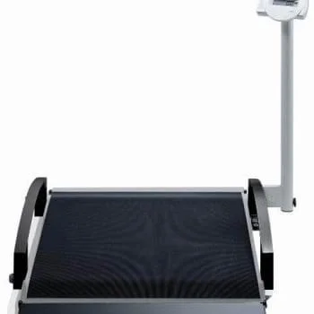 Seca 665 Wheelchair Scale