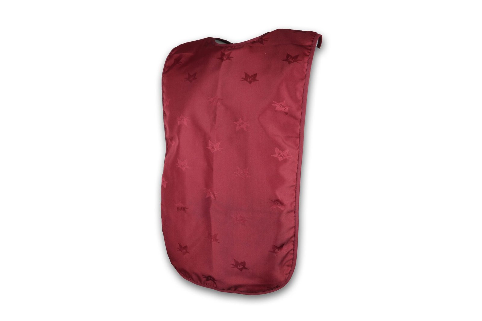 Dignified_Clothing_Protector_Red Pair of Blue disposable gloves